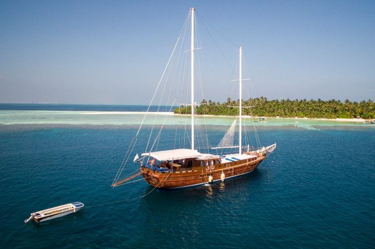 felicity surf boat charter maldives-007 Felicity surf charter maldives