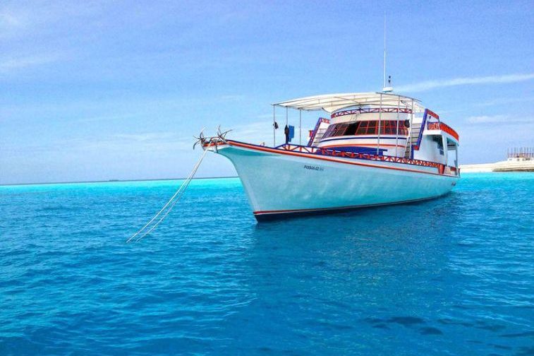 hope cruiser surf charter maldives