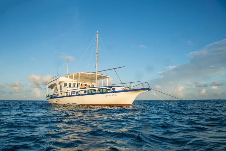 Kethi surf charter Maldives
