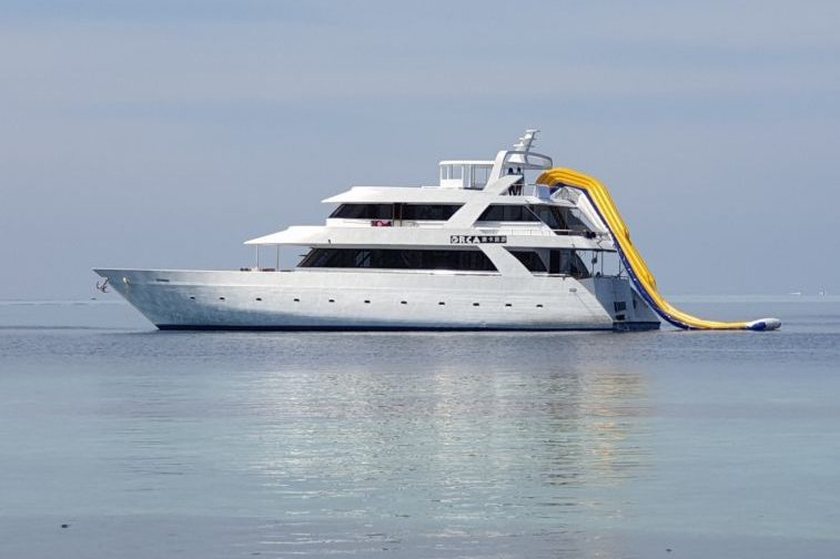 Orca Surf charter Maldives