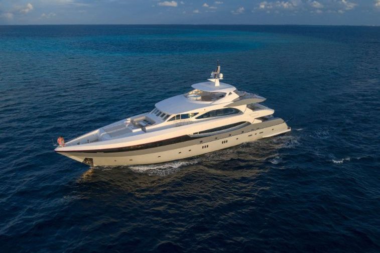 Sea Rex surf charter maldives