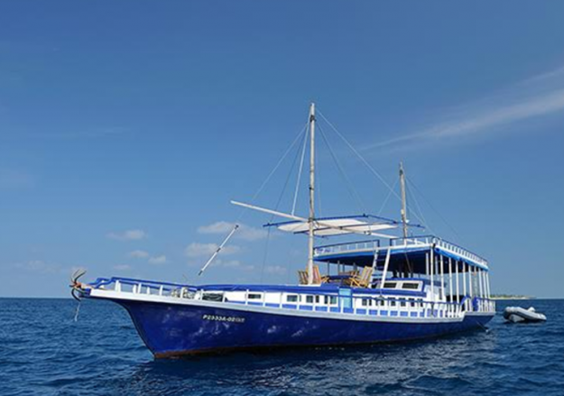 Sea Coral surf charter Maldives