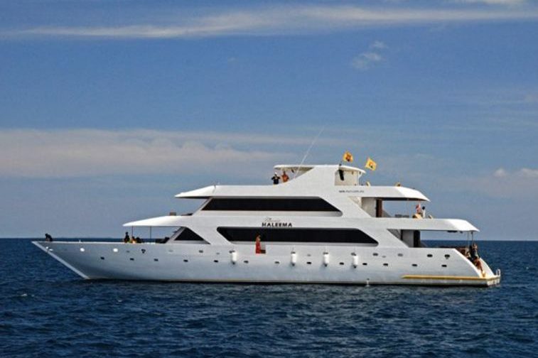 Princess Haleema private surf boat charter